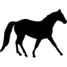 cheval4