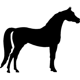 cheval5