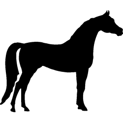 cheval5