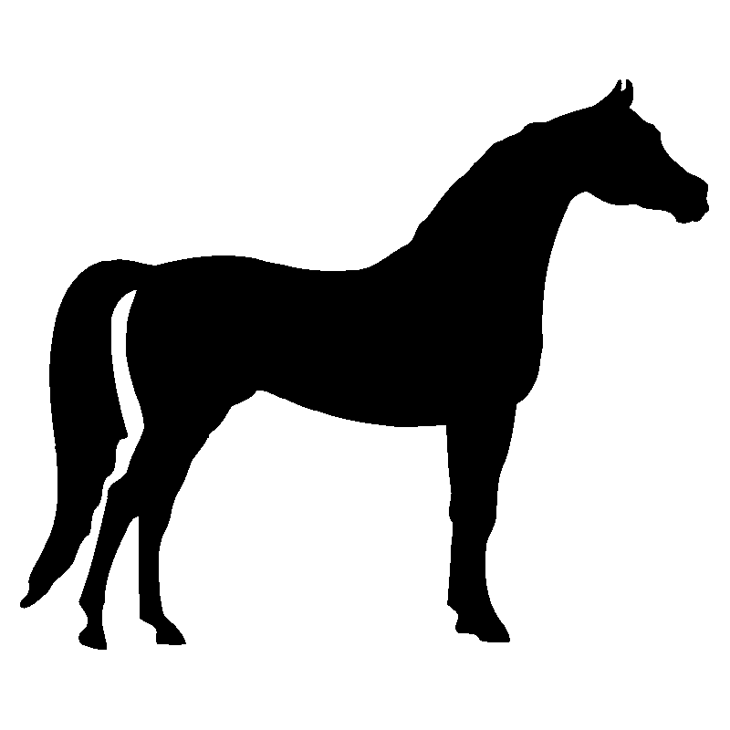 cheval5