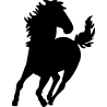 cheval5