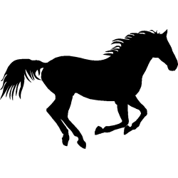 cheval6
