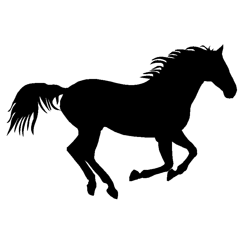 cheval6