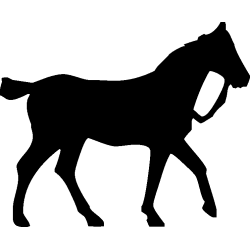 cheval6