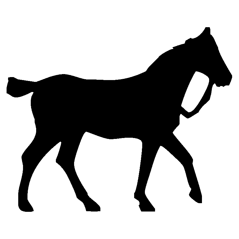cheval6