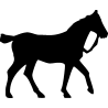 cheval6