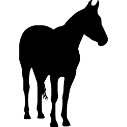 cheval7