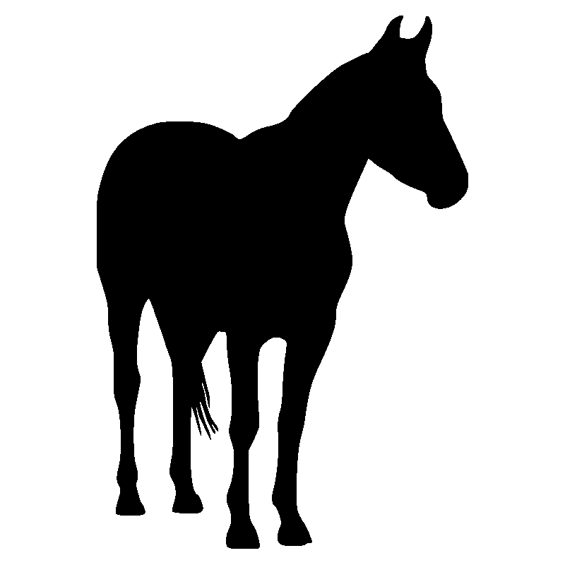 cheval7