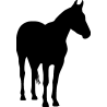 cheval7