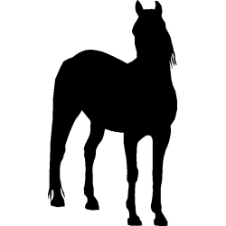 cheval7