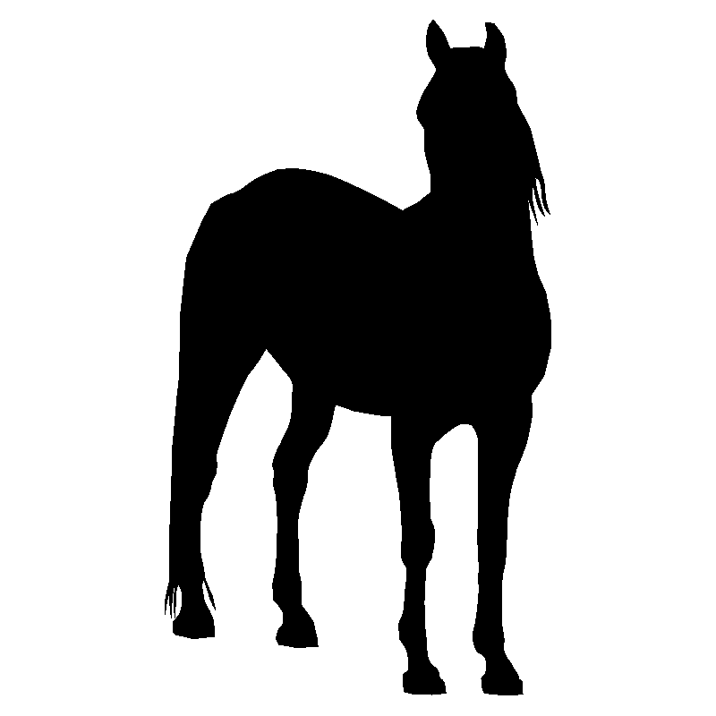 cheval7