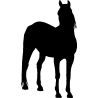 cheval7