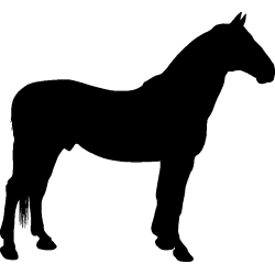 cheval8
