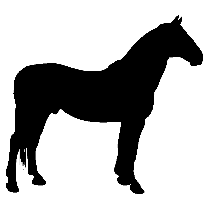 cheval8