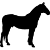 cheval8