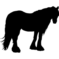 cheval8