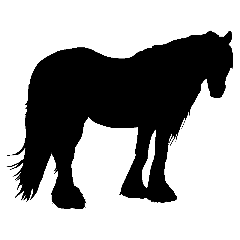 cheval8