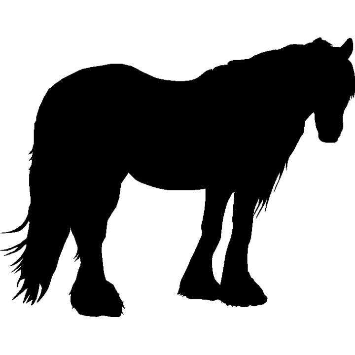 cheval8