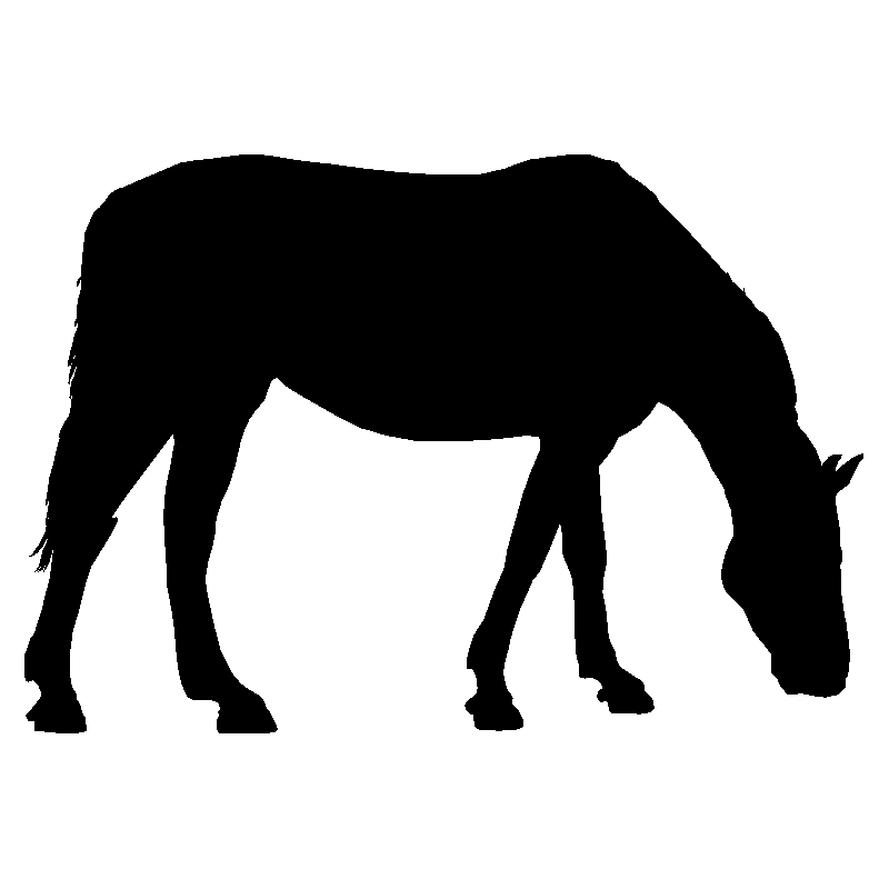 cheval9