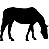 cheval9