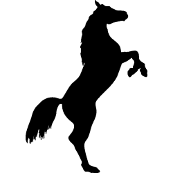 cheval9