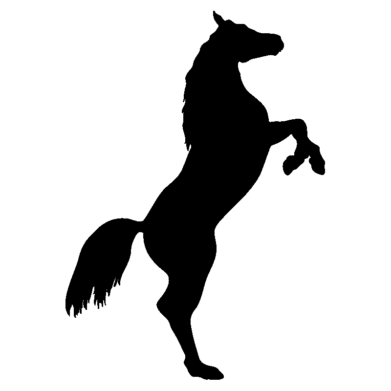 cheval9