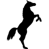 cheval9