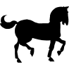 cheval10