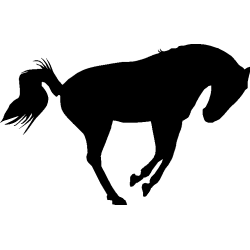 cheval11