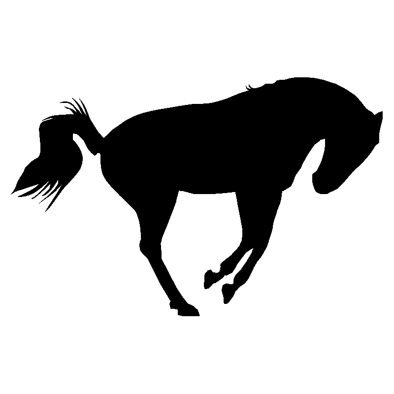 cheval11