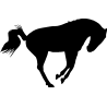 cheval11