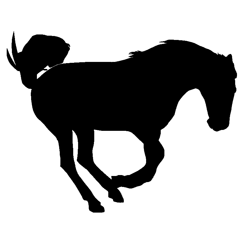 cheval11