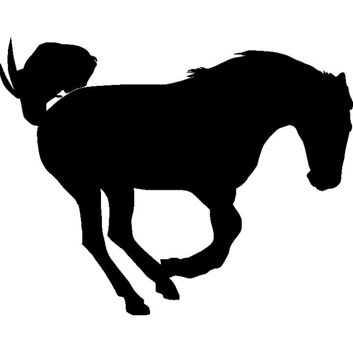 cheval11