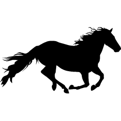 cheval12