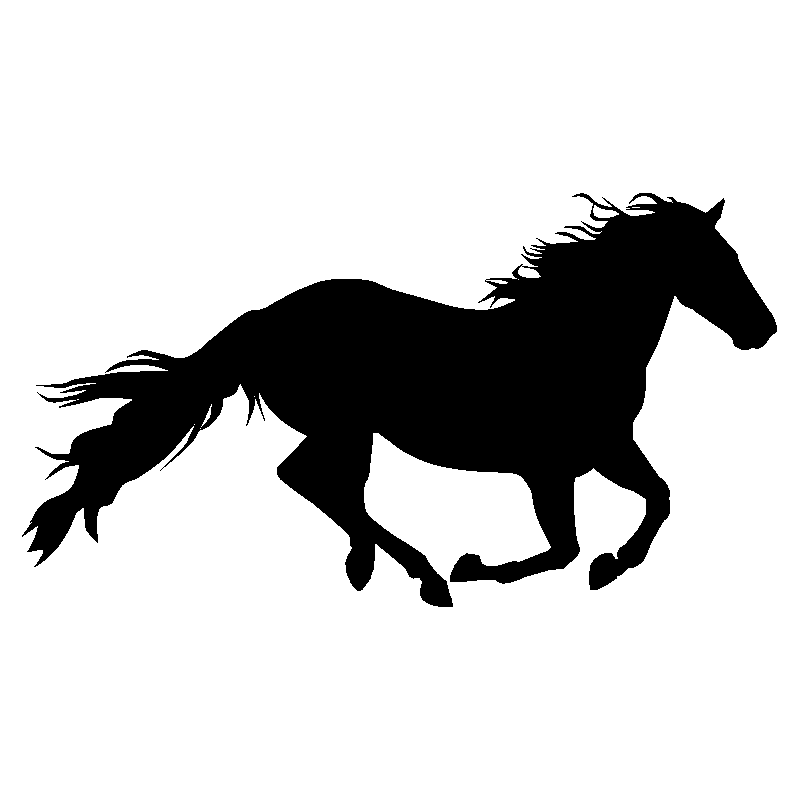 cheval12