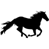 cheval12