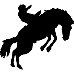 cheval12