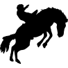 cheval12