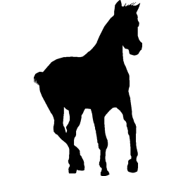 cheval13