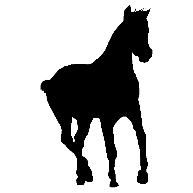 cheval13