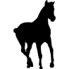 cheval13