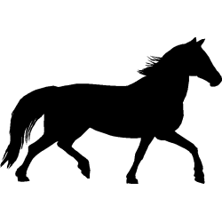 cheval13