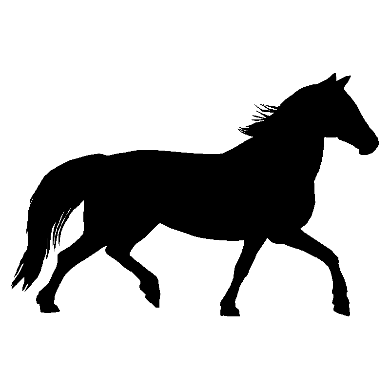cheval13