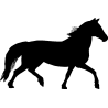cheval13