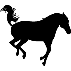 cheval14
