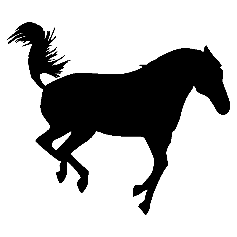 cheval14