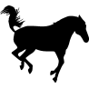 cheval14