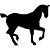 cheval14