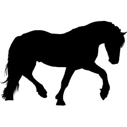 cheval15