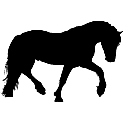 cheval15